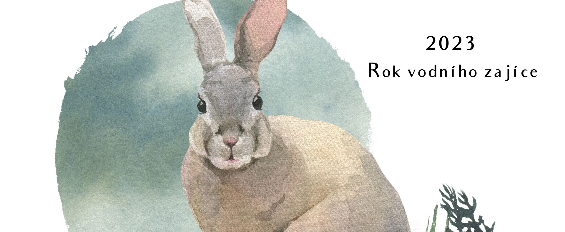Rok vodního zajíce 2023