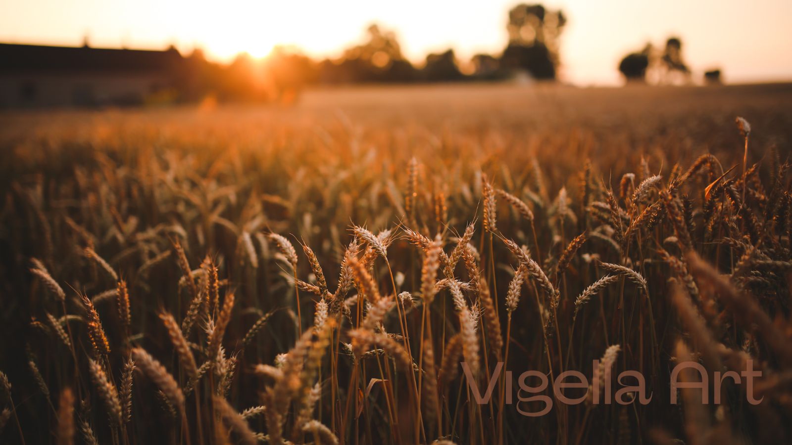 Solárny čínsky kalendár: základ BaZi a feng shui (24 Jie Qi a začiatok roka)